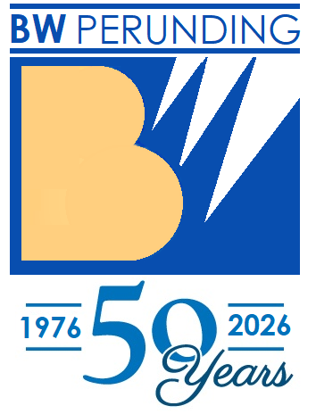 BW SYNERGY Logo