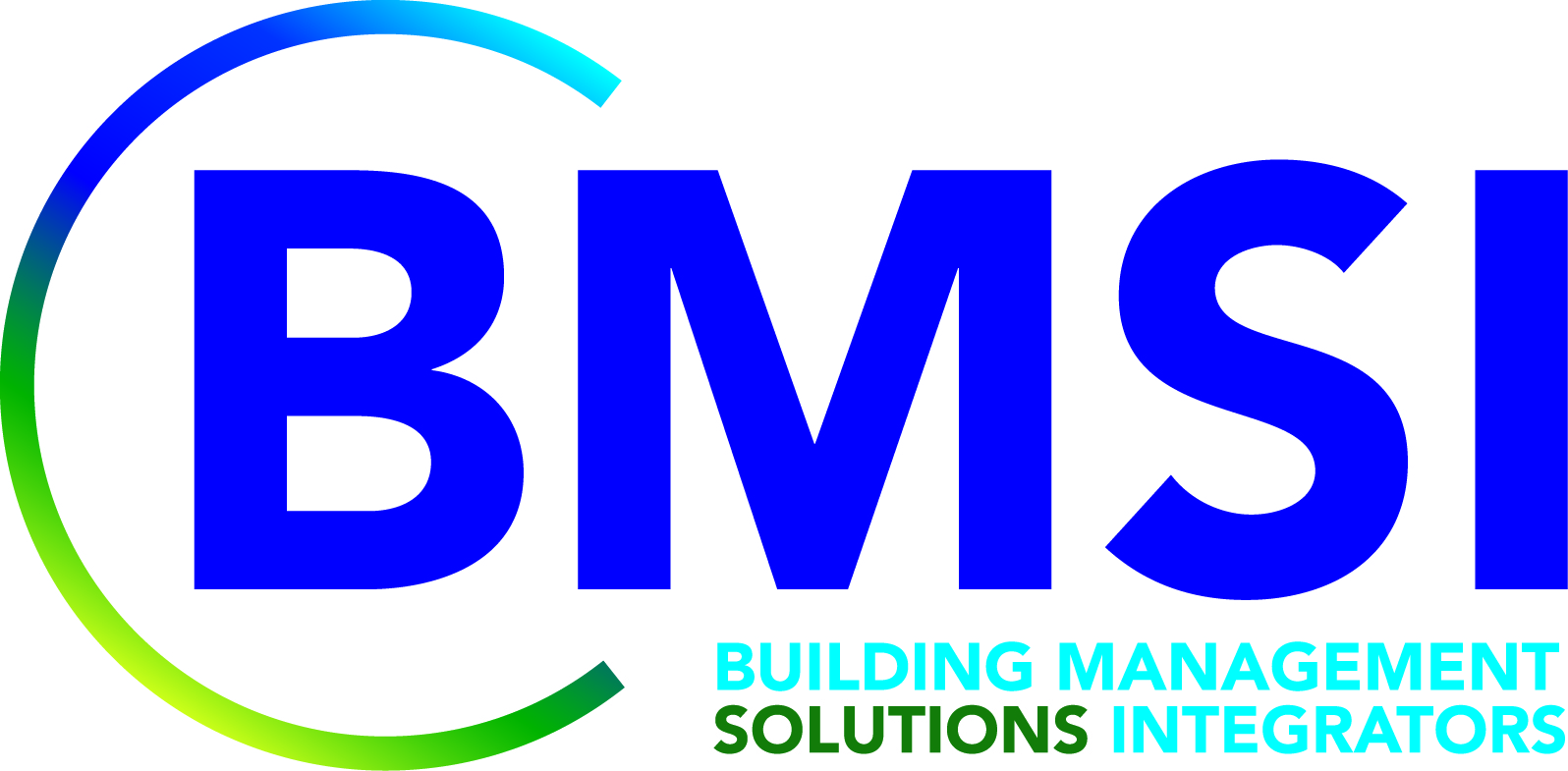 BMSI Logo