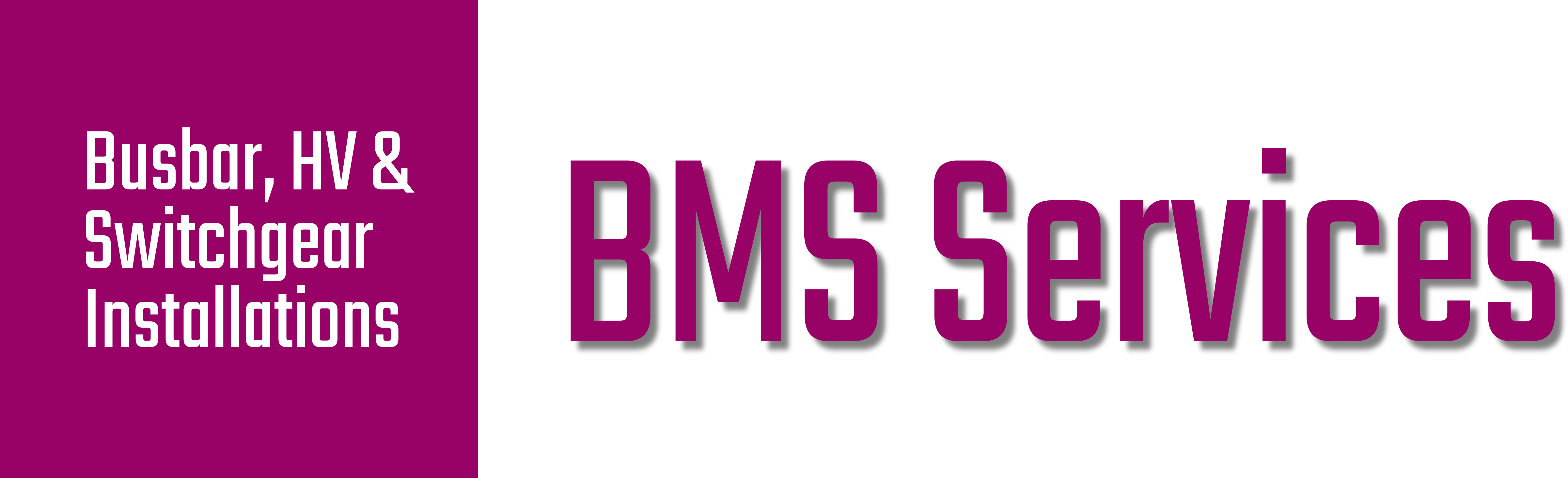 BMS Services Ltd Logo