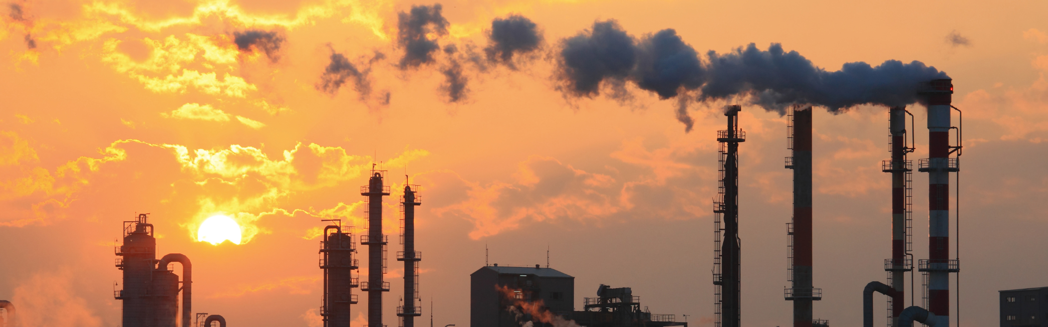 Carbon Reporting - Webinar